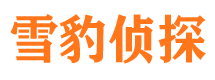 顺河捉小三公司